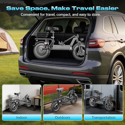 Luckfarm 1000W Electric Scooter with Seat