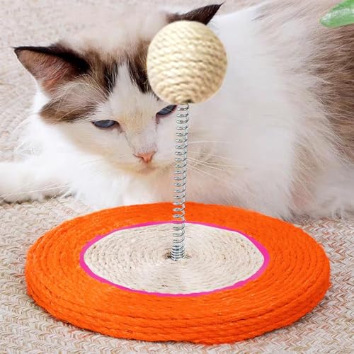 Griffoir pour chatons actif pour entraînement de stimulation mentale