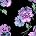 Floating Plum Pansies