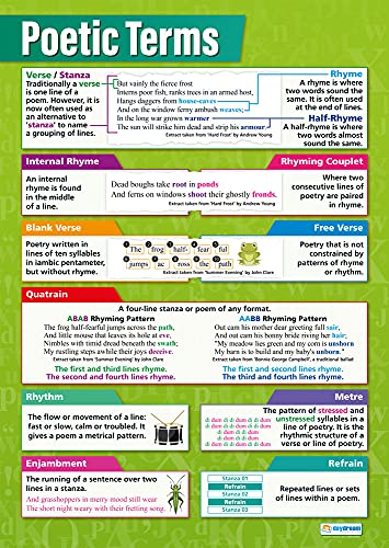 Poetic Terms | English Posters for Common Core State Standards (CCSS) | Gloss Paper 33â€ x 23.5â€ | Language Arts Classroom Posters | Education Charts by Daydream Education