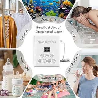 Générateur d’Ozone pour Eau et Air, Appareil à Ozone 400 mg h avec Minuterie, Montage Mural ou sur Table, Outil de Désinfection pour Voiture, Pièce, Fruits et Légume