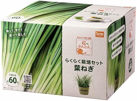 Amazon Co Jp 超簡単 栽培セット 葉ねぎ ホーム キッチン Amazon Co Jp 超簡単 栽培セット 葉ねぎ ホーム キッチン
