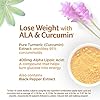 Turmeric-Curcumin-Weight-Loss-Pills-for-Women-Men-Purely-Inspired-Turmeric-Lean-Lose-Weight-with-ALA-Curcumin-Immune-Support-Supplement-Stimulant-Free-Weight-Loss-Supplement-60-Count Turmeric Curcumin Weight Loss Pills for Women & Men Purely Inspired Turmeric Lean Lose Weight with ALA & Curcumin Immune Support Supplement Stimulant Free Weight Loss Supplement 60 Count