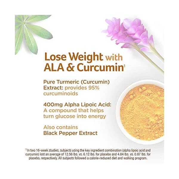 Turmeric-Curcumin-Weight-Loss-Pills-for-Women-Men-Purely-Inspired-Turmeric-Lean-Lose-Weight-with-ALA-Curcumin-Immune-Support-Supplement-Stimulant-Free-Weight-Loss-Supplement-60-Count Turmeric Curcumin Weight Loss Pills for Women & Men Purely Inspired Turmeric Lean Lose Weight with ALA & Curcumin Immune Support Supplement Stimulant Free Weight Loss Supplement 60 Count