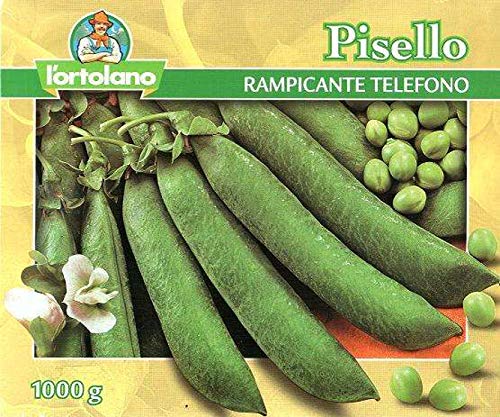 L'ortolano sementi di legumi (piselli, fagioli ecc...) di qualità in confezioni varie (pisello rampicante telefono, 250 grammi)