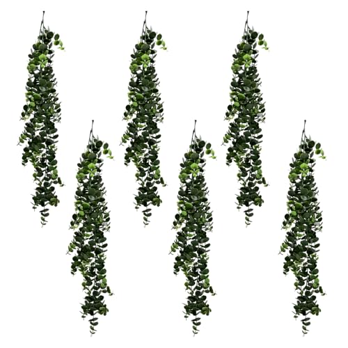 Branch leves tFCNO[ CCGT008 ݂艺 Ǌ| CeA lHϗtA (CCGT008, 6)