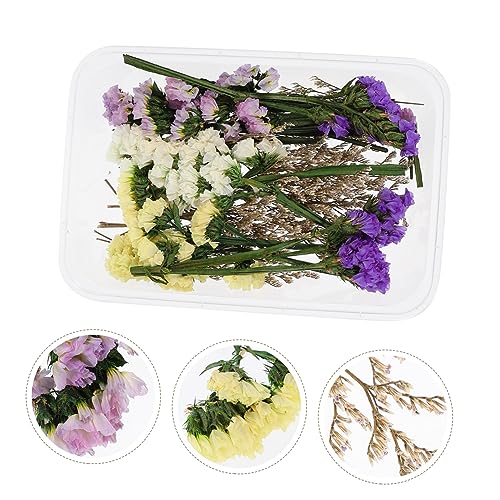 Flores secas para decoración de velas miniatura 4