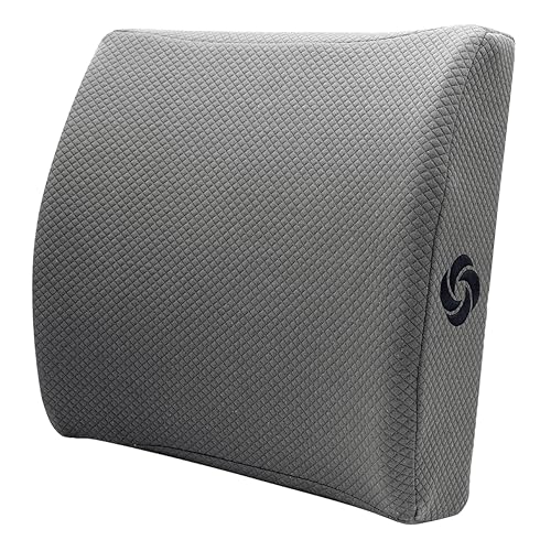 Samsonite Ergonomic Lumbar Pillow
