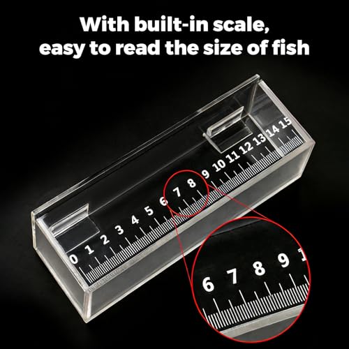 Image of Fish Viewing Box,Acrylic Fish Breeding Box,Fishing Photo Tank,Hatching Boxes, Clear Micro Landscape Fish Tank with Scale
