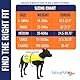 SafetyPUP XD Hund Warnweste, Größen passen Hunde 14 lbs bis 130 lbs Neon Gelb Mittel