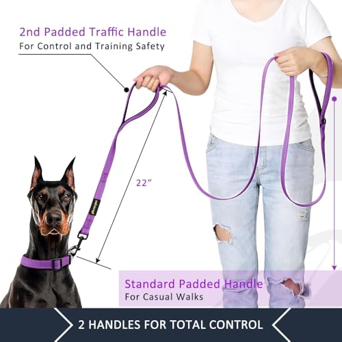 Image of Pioneer Petcore Dog Leash 6Ft Long,Traffic Padded Two Handle,Heavy Duty,Reflective Double Handles Lead For Control Safety Training,Leashes Large Dogs Or Medium Dogs,Dual Leads (Purple)