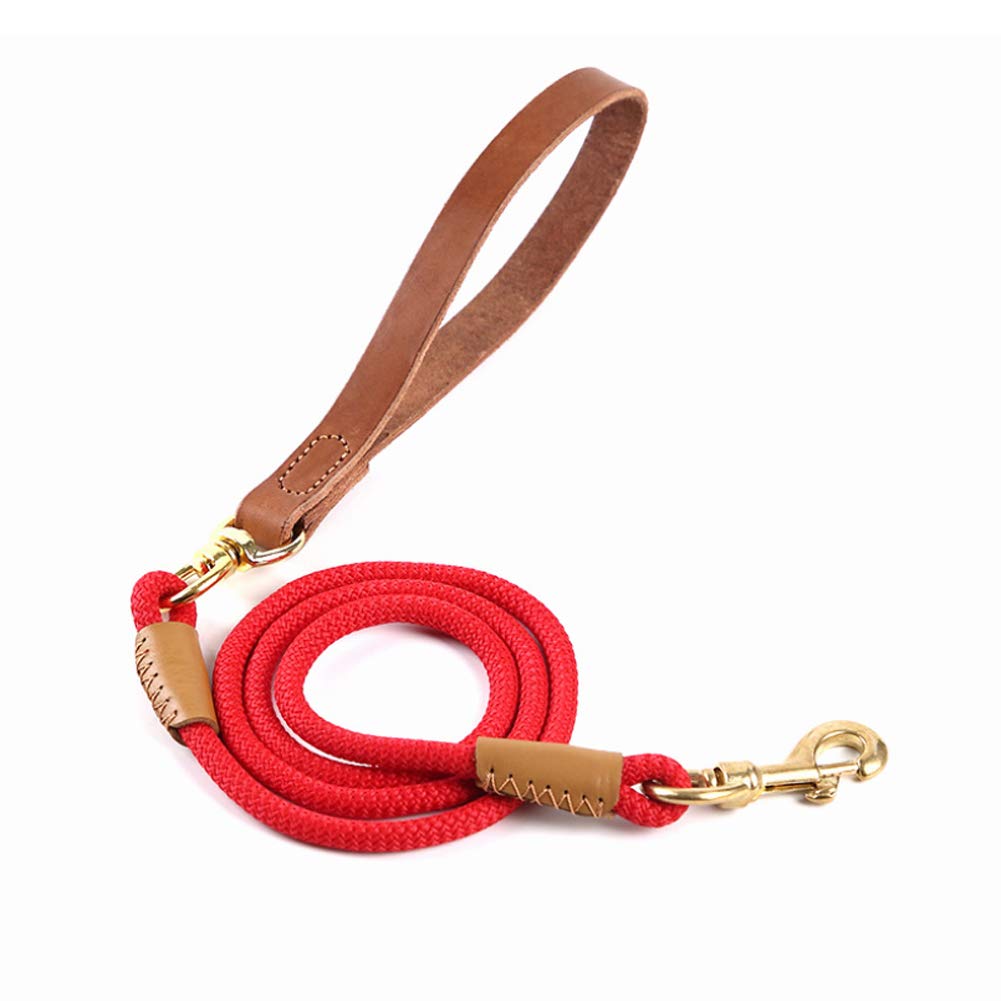 Correa de piel para perro (0,6 x 140 cm), color rojo