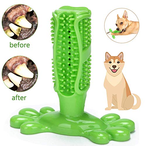 ASANMU Hundezahnbürste, Hunde Zahnbürste Hundespielzeug Hunde Kauspielzeug Zahnpflege aus Naturkautschuk, Welpen Zahnreiniger Massagegerät Zahnreinigung Hunde Spielzeug für Welpe Kleine Medium Hunde