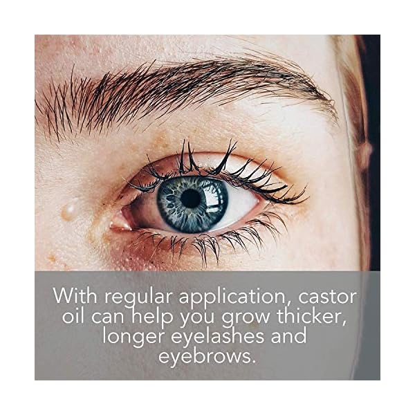 Organic-Castor-Oil-for-Eyelashes-and-Eyebrows-with-Applicator-Kit-Lash-Brow-Growth-Serum-by-Pure-Body-Naturals-1-Ounce-Label-Varies Pure Body Naturals Castor Oil for Eyelashes and Eyebrows - Brow and Lash Growth Serum - Organic Hexane Free Cold Pressed Unrefined - 1 fl oz