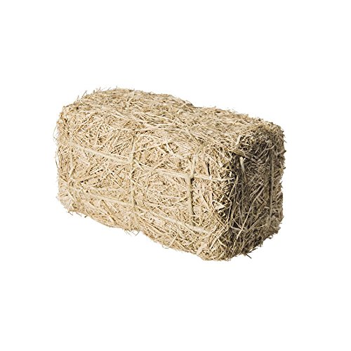 Générique Botte DE Paille 25X13X13CM