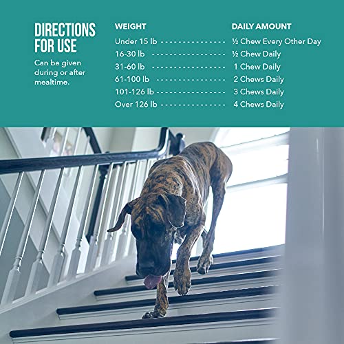 Alenza Soft Chews Aging Support For Dogs, 90 Count, (86601710) #TOP6