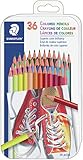Staedtler Colored Pencils 36/pkg-