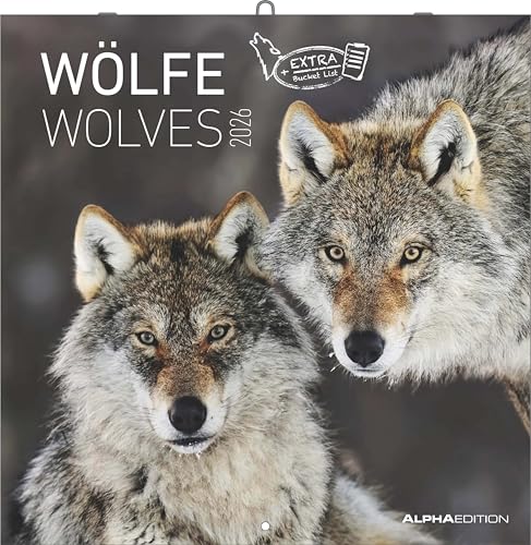 Alpha Edition - Wölfe Kalender 2026 – Wandkalender & Bildkalender 30x30 cm (30x60 cm geöffnet) mit faszinierenden Wolfsfotografien, für Naturfreunde & Tierliebhaber: Wolves