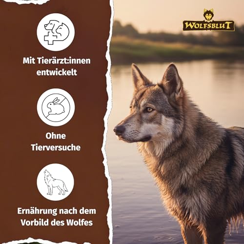 WOLFSBLUT – Wide Plain Adult | Trockenfutter mit natürlichen Zutaten und wertvollen Superfoods für ausgewachsene Hunde. Getreidefreies Alleinfutter ohne Zusatzstoffe im Beutel | 2kg Pferd