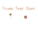 fun Trump Tear Down