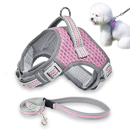 Dog Harness and Leash Set, No Pull Harness for Small Dogs and Cats, Air Mesh Harness with Easy Control Handle and…