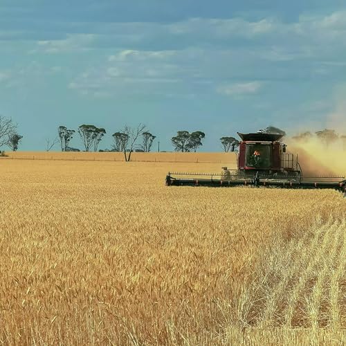 What are the top risks facing Australian agriculture in the new year?