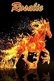  Horse Passion: Rosalie: College Ruled  Composition Book  Diary  Lined Journal