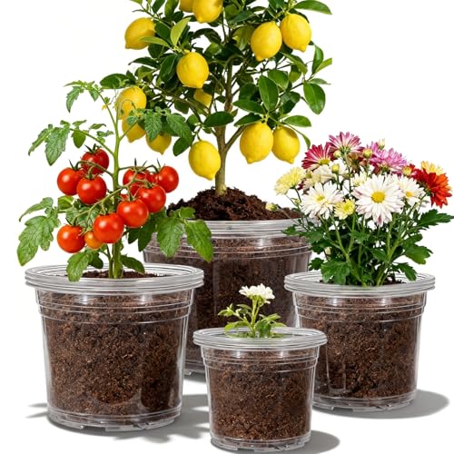 CXIIPOL 12 Pack 4/6/8/10 Inch Clear Nursery Pots for Plants Large Size Clear Plant Pots with Drainage Holes Plastic Nursery Pots for Indoor and Outdoor Planting Vegetables Orchids Aloe
