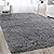 Soft Modern Shaggy Fur Area Rug for Bedroom Livingroom Decorative Floor Carpet, Non-slip Large Plush Fluffy Comfy Warm Furry Fur Rugs for Boys Girls Nursery Accent Rugs 5x8 Feet? Black