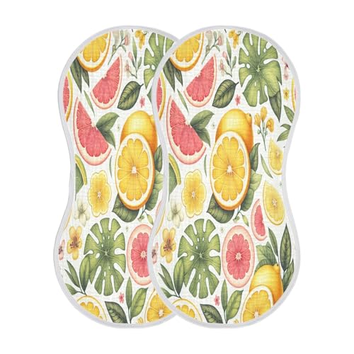 JUZIHAI 2Pack Tropical Juicy Fruit Baby Burp Cloths Soft Cotton Burp Rags,Super Absorbent Burp Cloth Bag for Newborn Baby Boys/Girls2