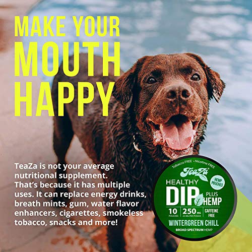 TeaZa Energy Smokeless Alternative with Hemp | Quit Chewing and Dipping Snuff | Nicotine and Caffeine Free Herbal Energy Pouch (Wintergreen Chill, 1 Pack)