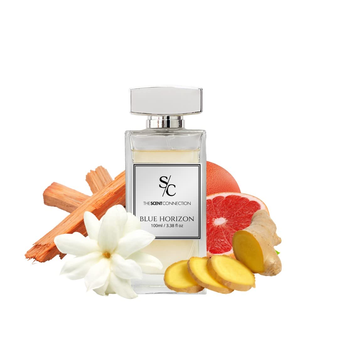 The Scent ConnectionHorizon For Men (Blue,100ml)