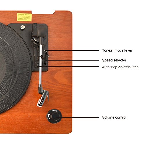 HOFEINZ Vintage Style Natural Wood Belt Driven Turntable with 3 Speed Built in Stereo Speakers, Bluetooth and Vinyl-to-MP3 Recording