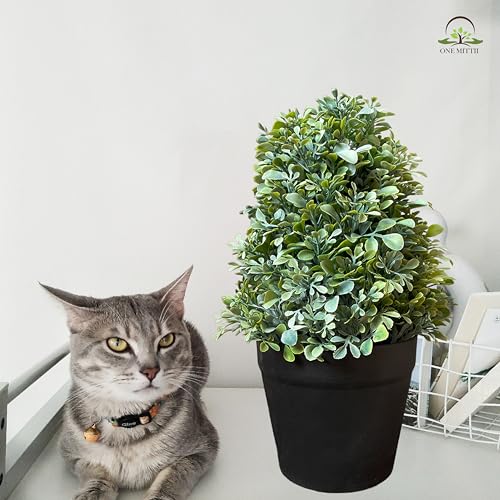 Image of Artificial Realistic Round Leaves Bonsai Potted Plant for Home Office Kitchen Living Room Hotel Restorent Table Corner Center Piece | Natural Look | Show Piece | 36 cm