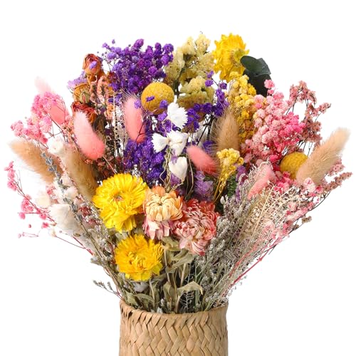 Xialvyu 46 Stück Trockenblumenstrauß Deko Set 15 Sorten Trockenblumen Blumen Bunt Getrocknete Blumen Natürlichen Strohblumen für Wohnzimmer Home Hochzeit Vasen Tischdeko
