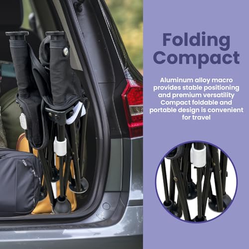 Image of Avee & Co Infant Fold-Out Booster Chair - Toddler Seat for Indoor /Outdoor Use - Fast, Easy and Compact Fold