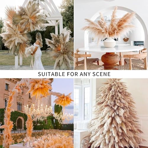 Ramo de flores secas Pampas Grass 10 piezas natural miniatura 4
