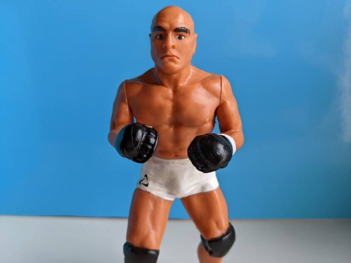 Amazon | キャラプロ ヒクソングレイシー フィギュア PRIDE プライド