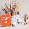 IDATOO Thanksgiving Decorations for Home, 2 PCs Rustic Fall Decor, Fall Decorations, Wooden Pumpkin Tabletop Sign Block Set for Home Halloween Farmhouse Living Room Harvest Mantel (Orange White Pumpkin)