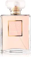 Perfume Coco Mademoiselle Feminino Eau de Parfum 100ml Chanel