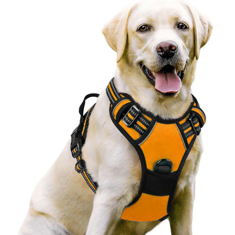 No Pull Dog Harness (XL,Orange)
