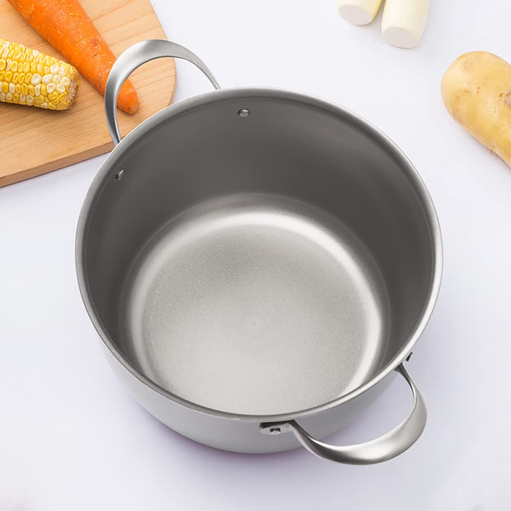 Genérico Cacerola Antiadherente de Titanio de 9,5 Pulgadas con Tapa de Vidrio Templado, Olla sin Recubrimiento para Cocina por inducción de Gas en el hogar, Olla de Leche versátil para Uso Diario