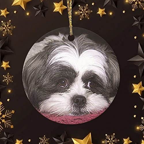Vinisong The Shih Tzu Dog Ornaments Hanging Ornaments For Christmas Tree Holidays, Party, Car, Home, Office Decoration Home Decor Hanging Pendants Round Ceramic Ornament Hang Ornament, 3Inch #TOP5