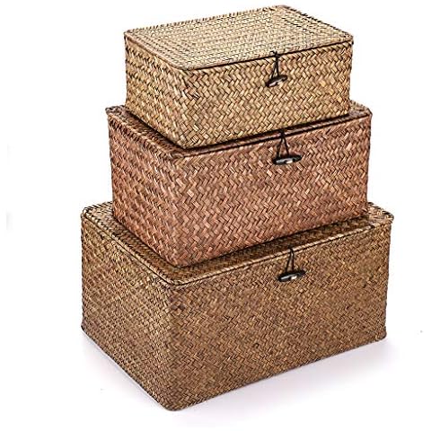 IGNPION Set of 3 Seagrass Storage Baskets Cover
