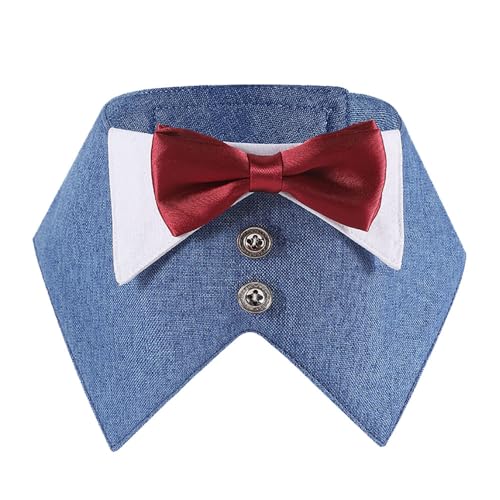  ^LV[h hbOX[c  EFfBO o_i  bhTelN^CtA߉\Ȍ̃tH[}RX`[A^ybgp̌̏(u[AXL)