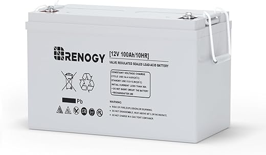 Renogy Deep Cycle AGM 12 Volt 100Ah Battery w/ Box, 3% Self-Discharge Rate, 1100A Max Discharge Current, Safe Charge Appliances for RV, Camping, Cabin, Marine and Off-Grid System, Maintenance-Free