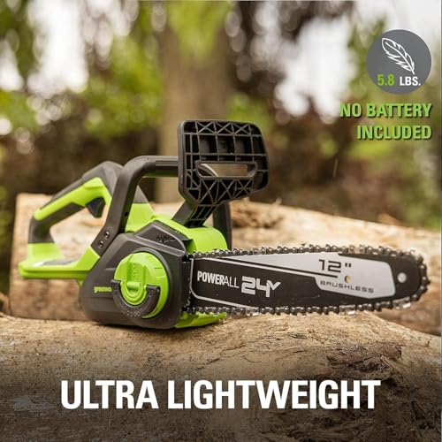 Greenworks 24V 12