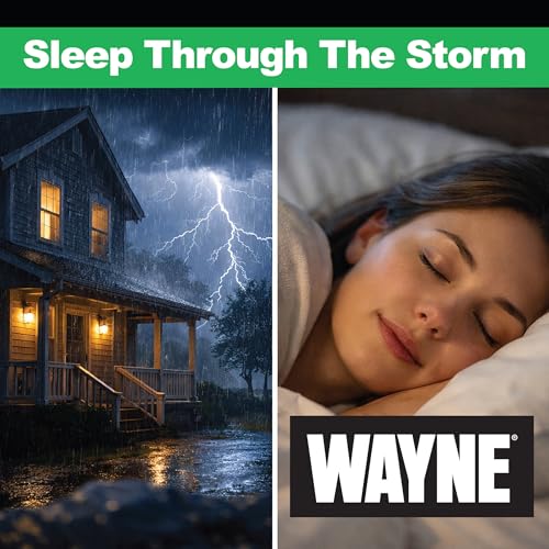 Image of Wayne 1 HP Heavy Duty Submerisble Cast Iron and Stainless Steel Sump Pump with NEW Switch - Removes up to 6,100 Gallons of Water Per Hour