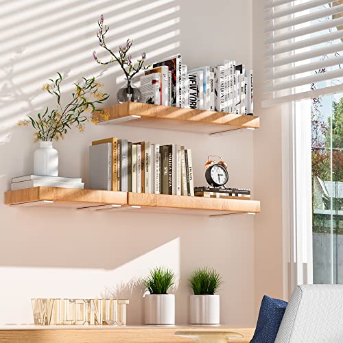 Mejores comprativas On-line Mensulas ocultas disponible en línea para comprar. 14 Mejores comprativas On-line Mensulas ocultas disponible en línea para comprar. 14