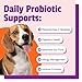 Pet Naturals Daily Probiotic for Dogs, 120M CFUs - Pre and Probiotics for Dogs Digestive Health, Gut Health, Immune Support, Diarrhea, Allergies and Itching - 60 Chews, Duck Flavor